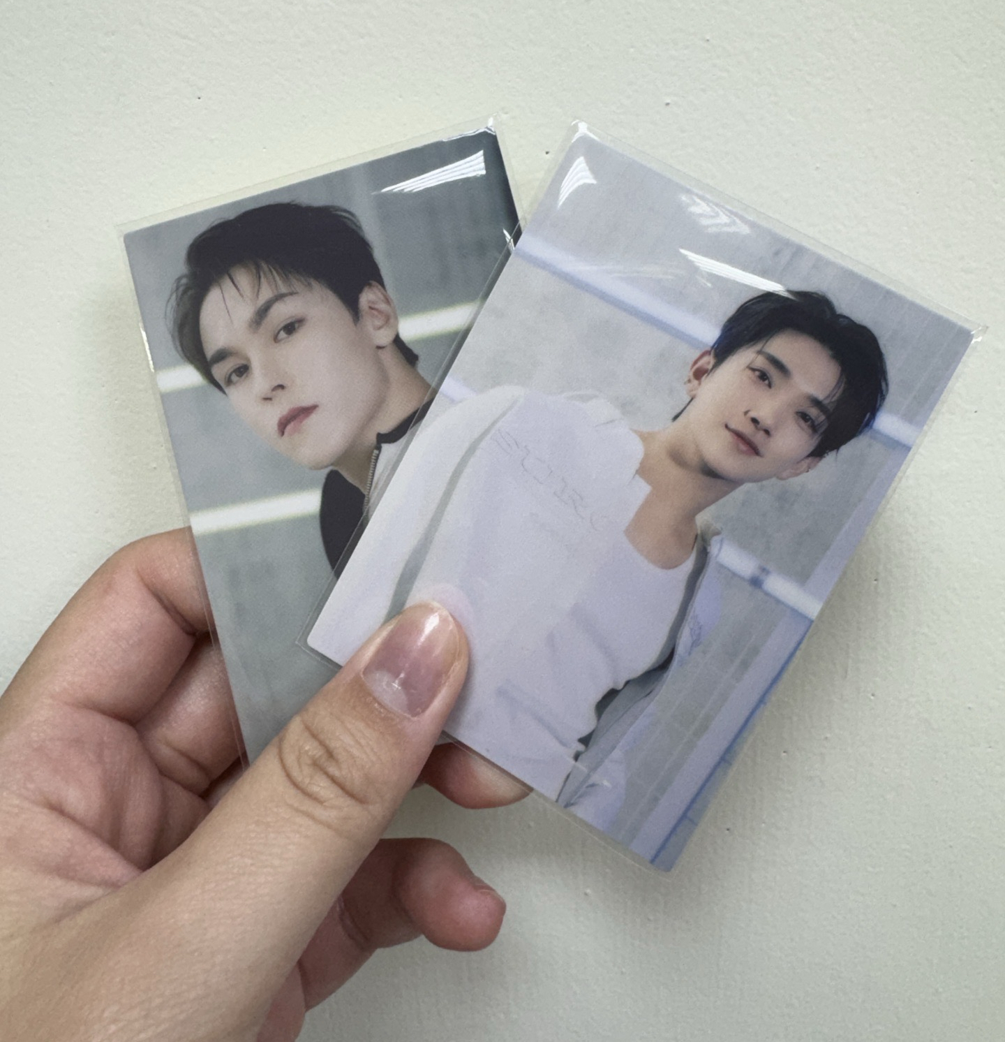 Follow Again to Japan 非彩背