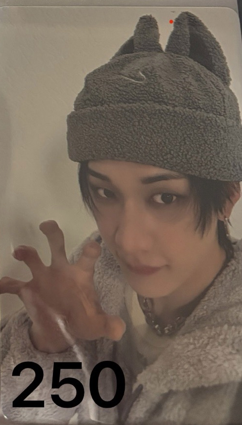 塔店特典 燦（skzoo毛帽）