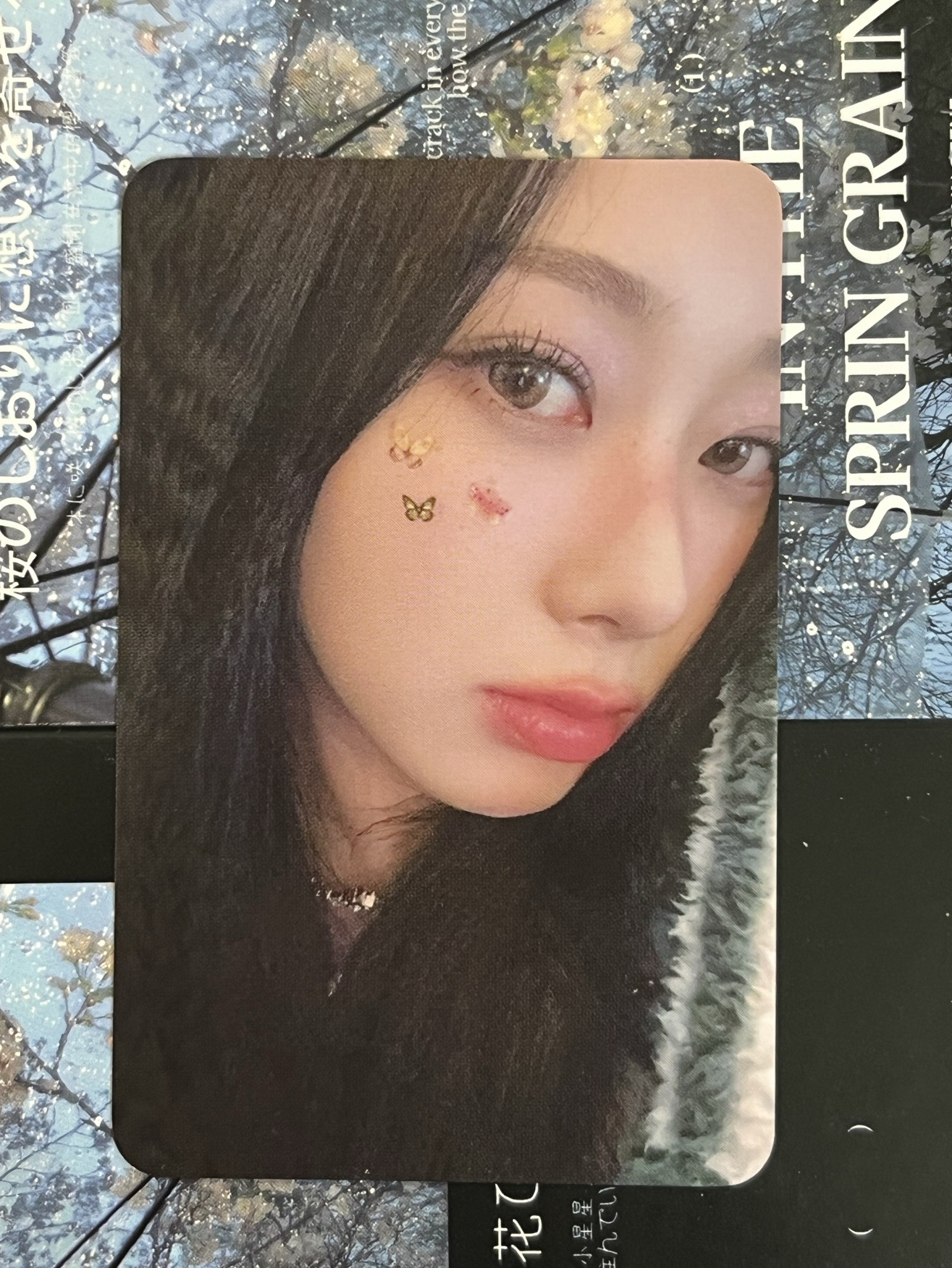 正規一 wm預售吉