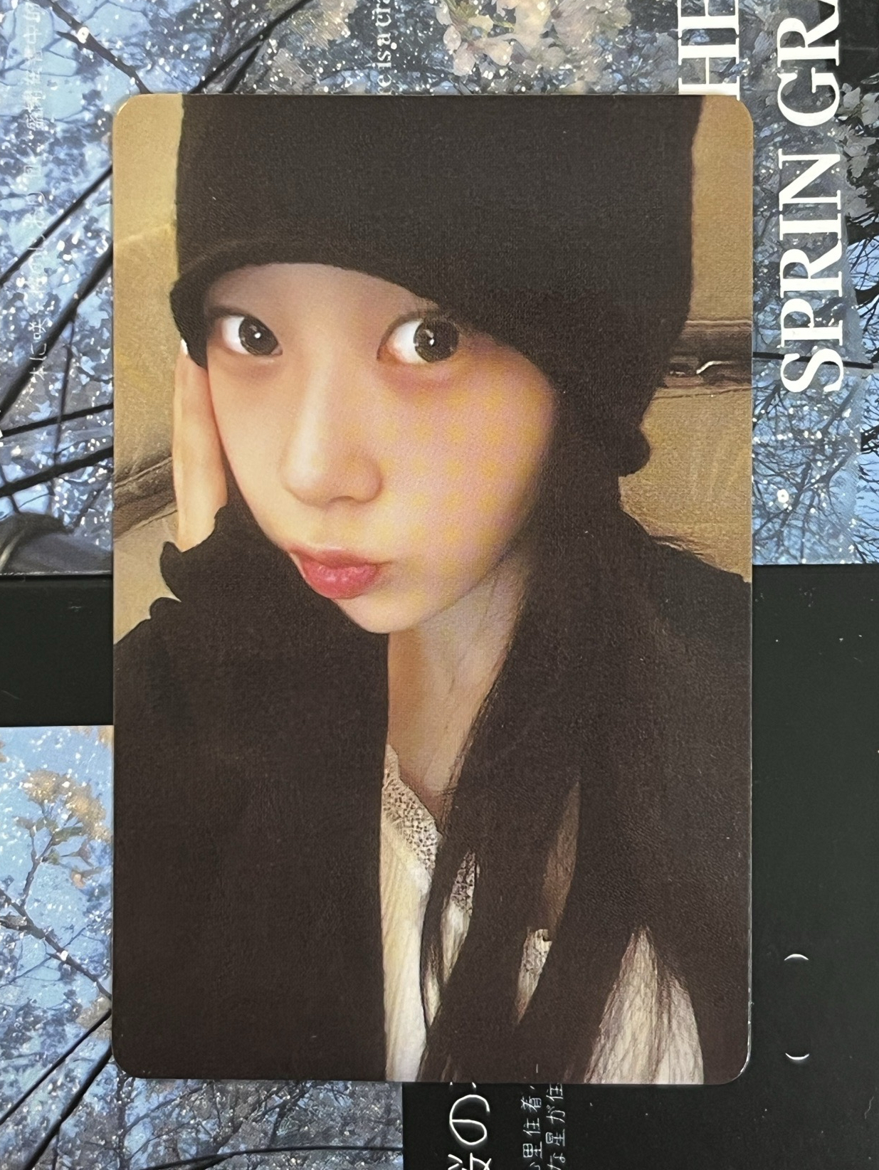 Drama 隨機卡 B版吉