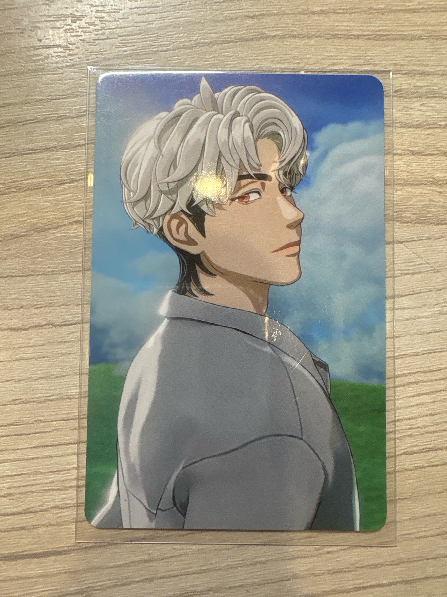 銀虎 animate 日專安美特典