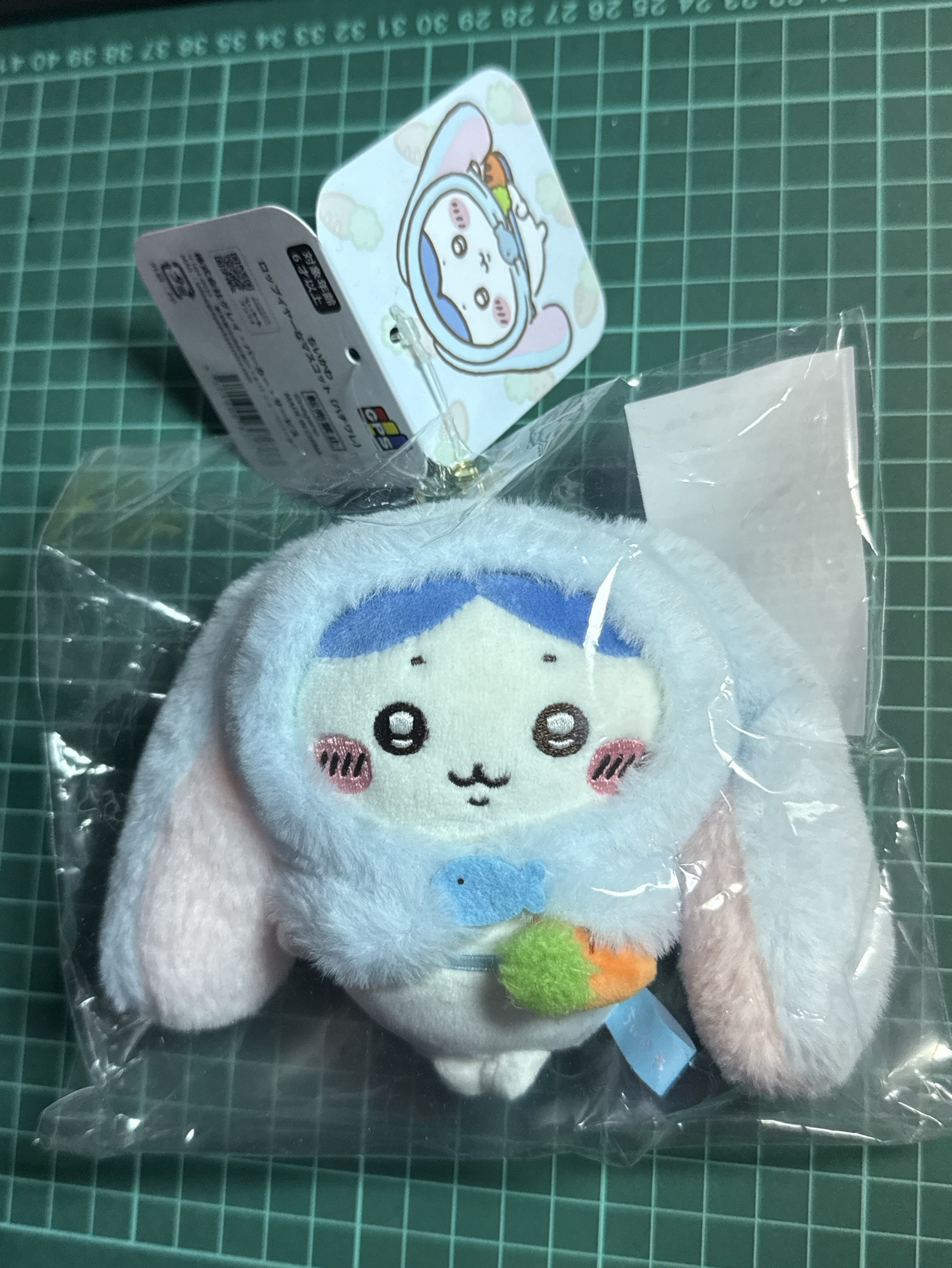 台灣限定 垂耳小八