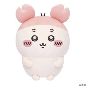 【2/6預購】圓滾滾古本