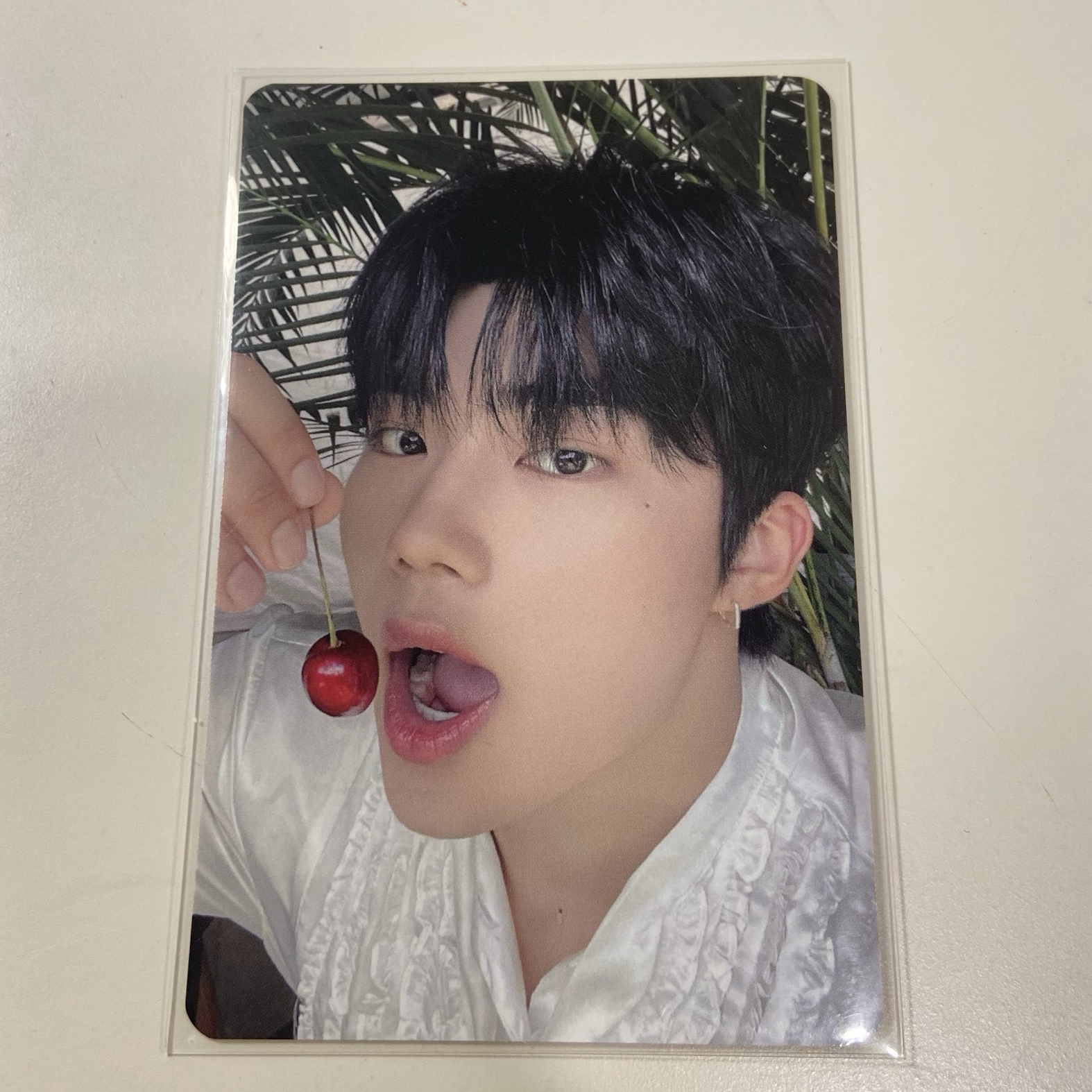 ZEROBASEONE 朴乾旭 隨機卡包卡