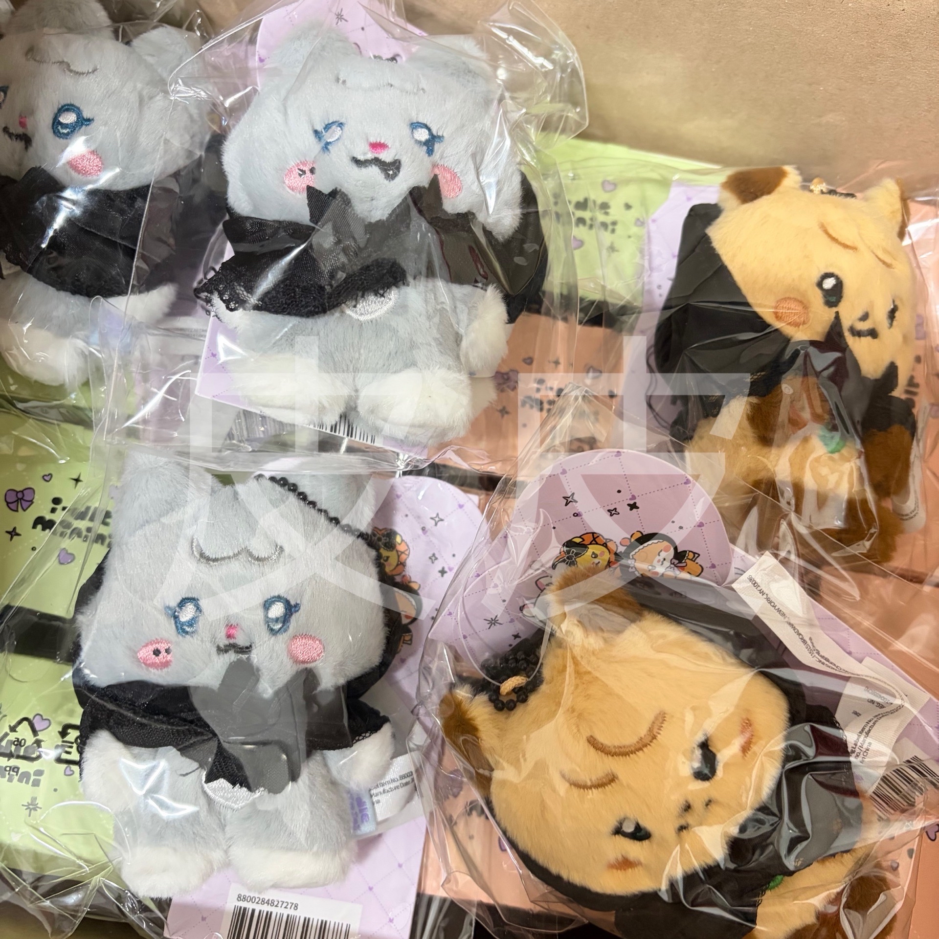 現貨/預購）i-dle 迷八 快閃吊飾娃 舒華 麵