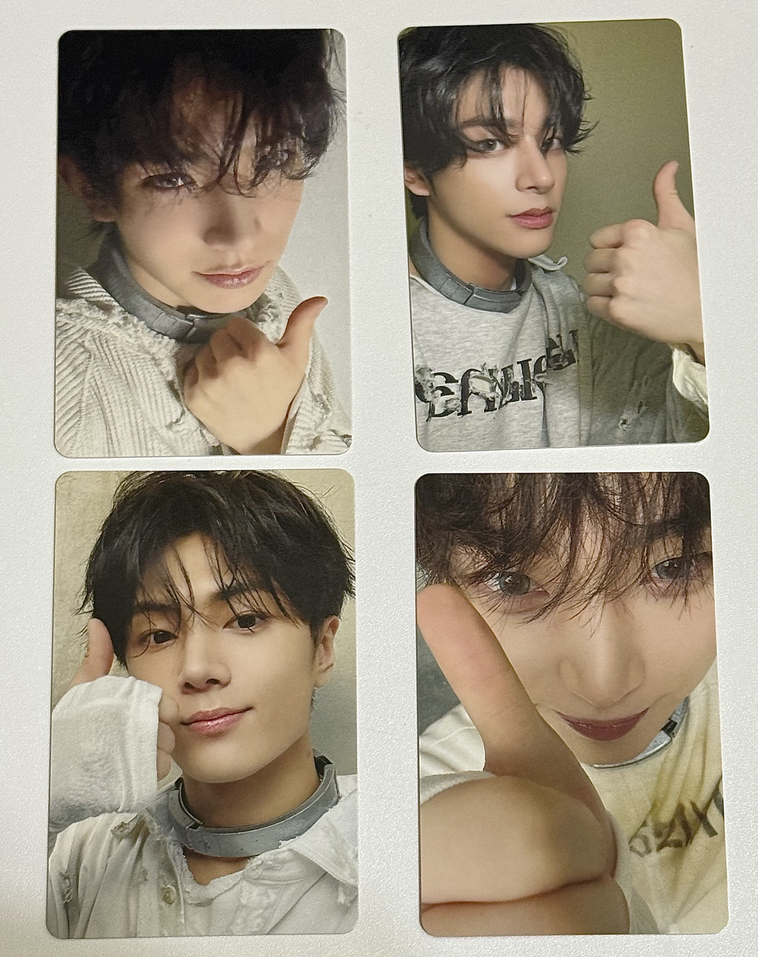 ENHYPEN 迷六 日咖特典-羲倫/星禹