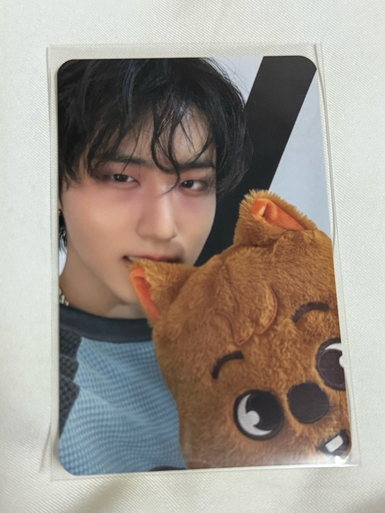 安可線下滿額 韓知城