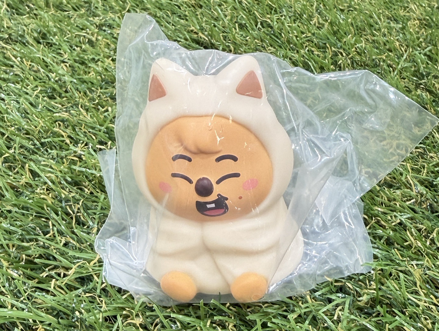 夜光扭蛋 辰+寅/辰+城