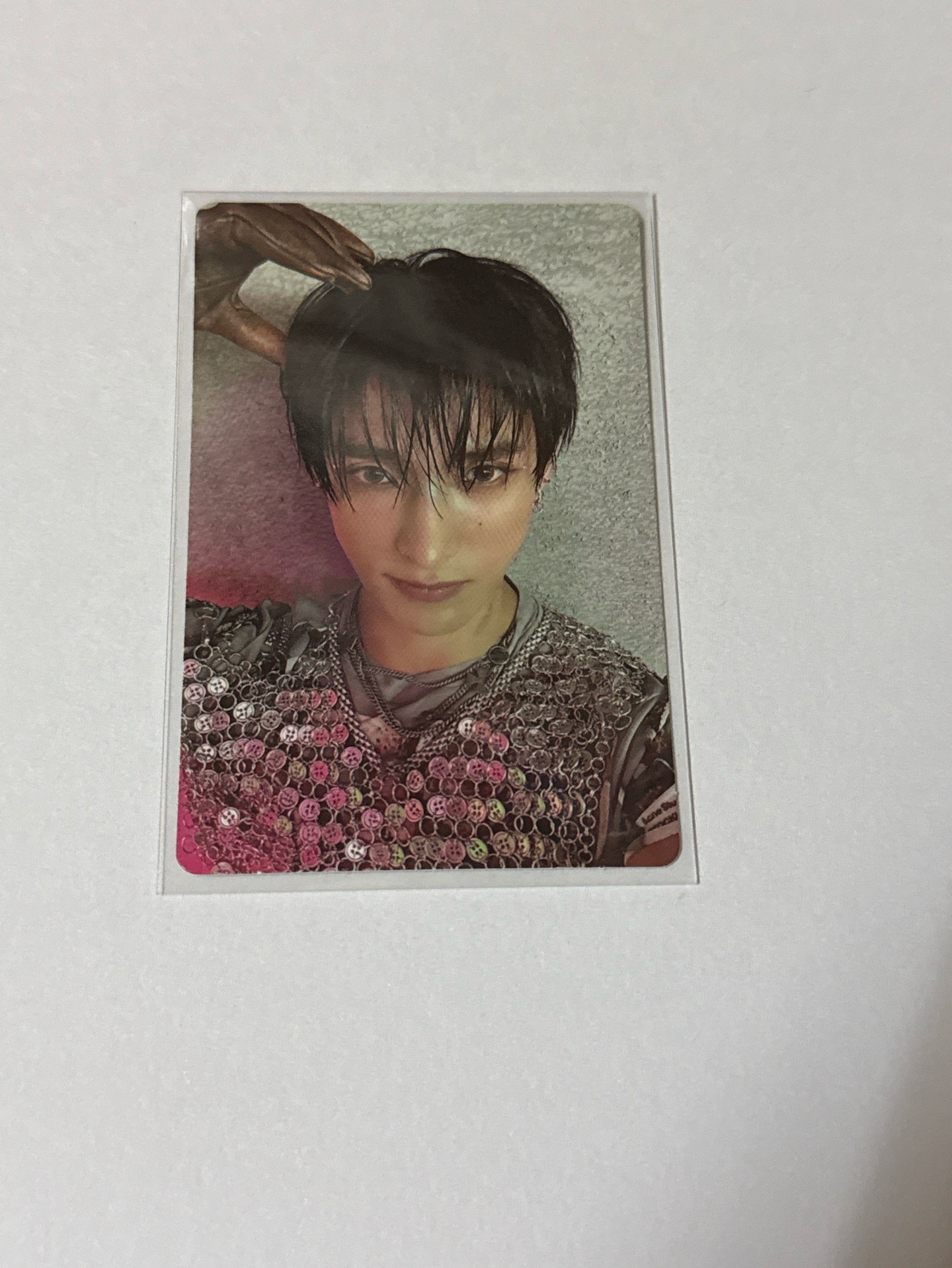 正規五 專卡 狗耳碩