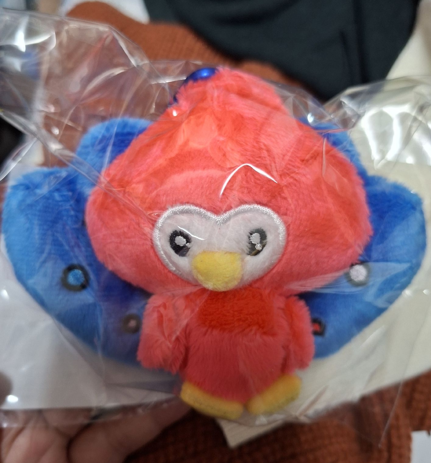 SS10 日巡 日本 希澈 澈娃 孔雀