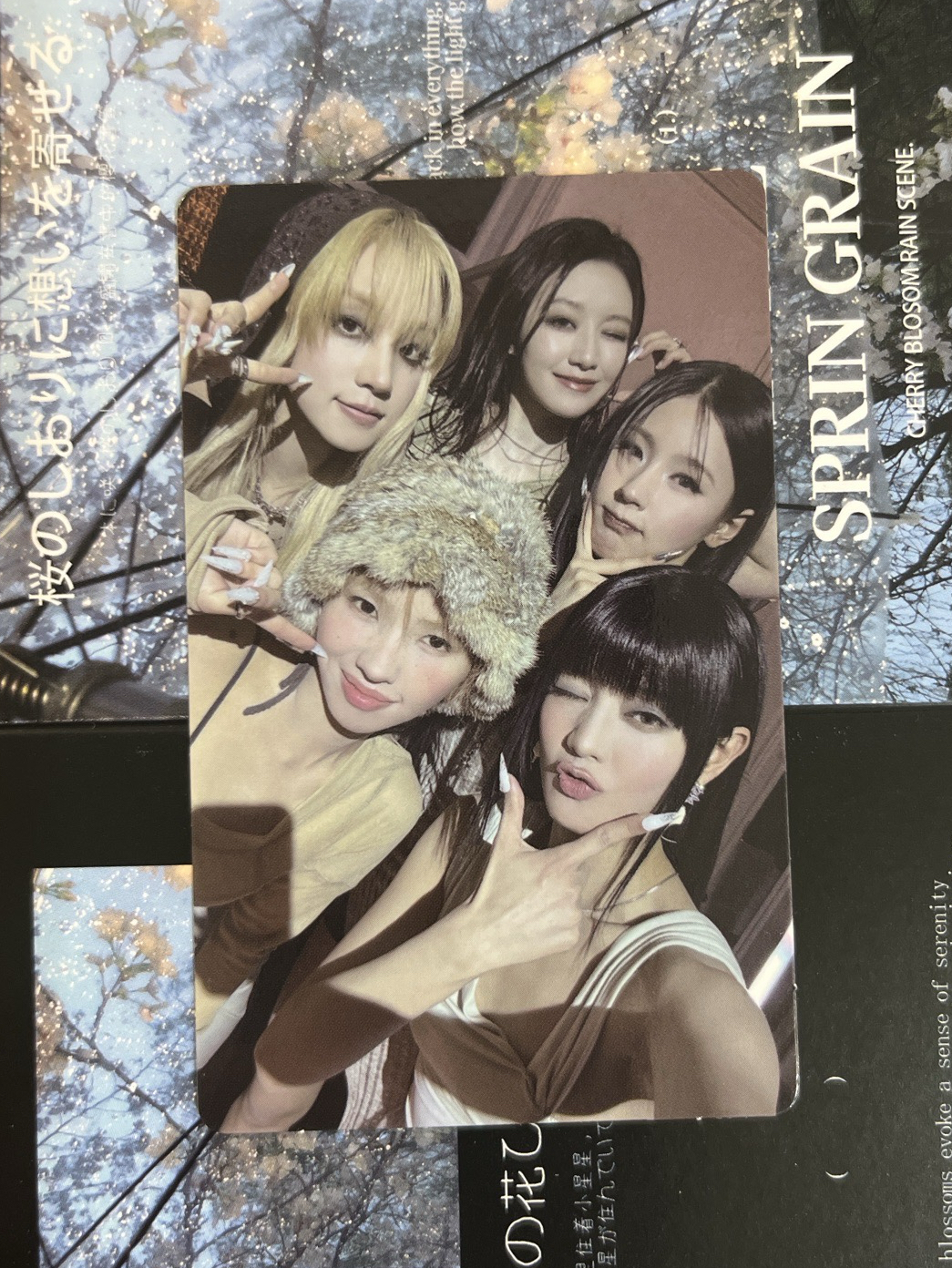 We are wvs預售團卡