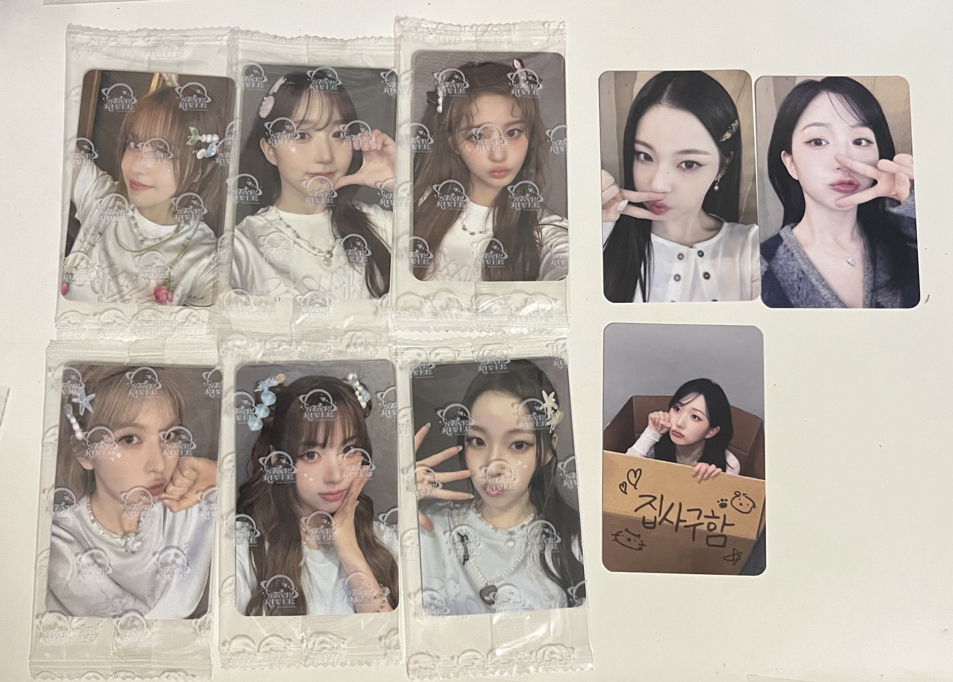 夏至未至、嘟嘴、鏟屎官