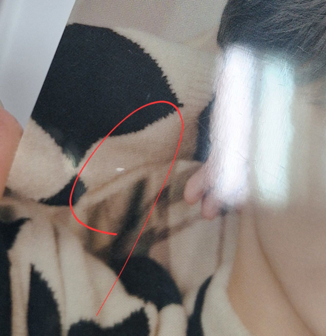 [SVT]燦HOME 2張不拆