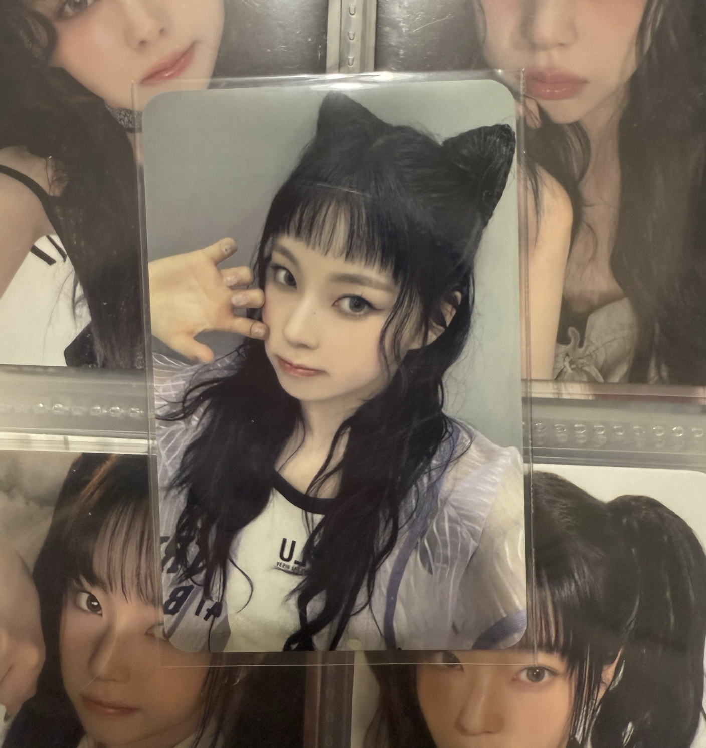 上海數星星中籤圭⭐️