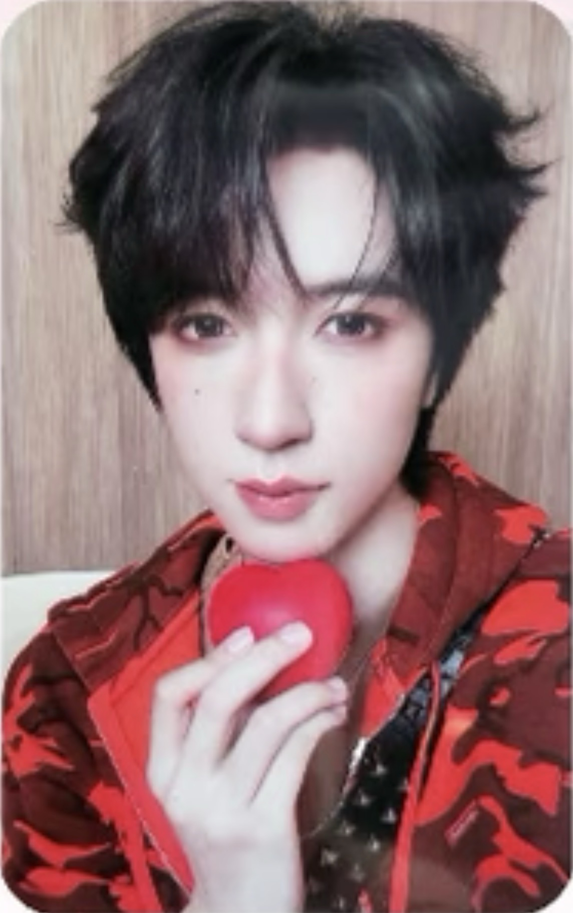 🐿️賀峻霖 上海團固卡