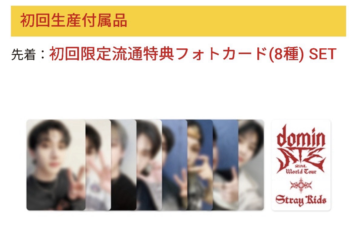 Stray Kids 三巡 Dominate 全通路特典卡 套出/現貨