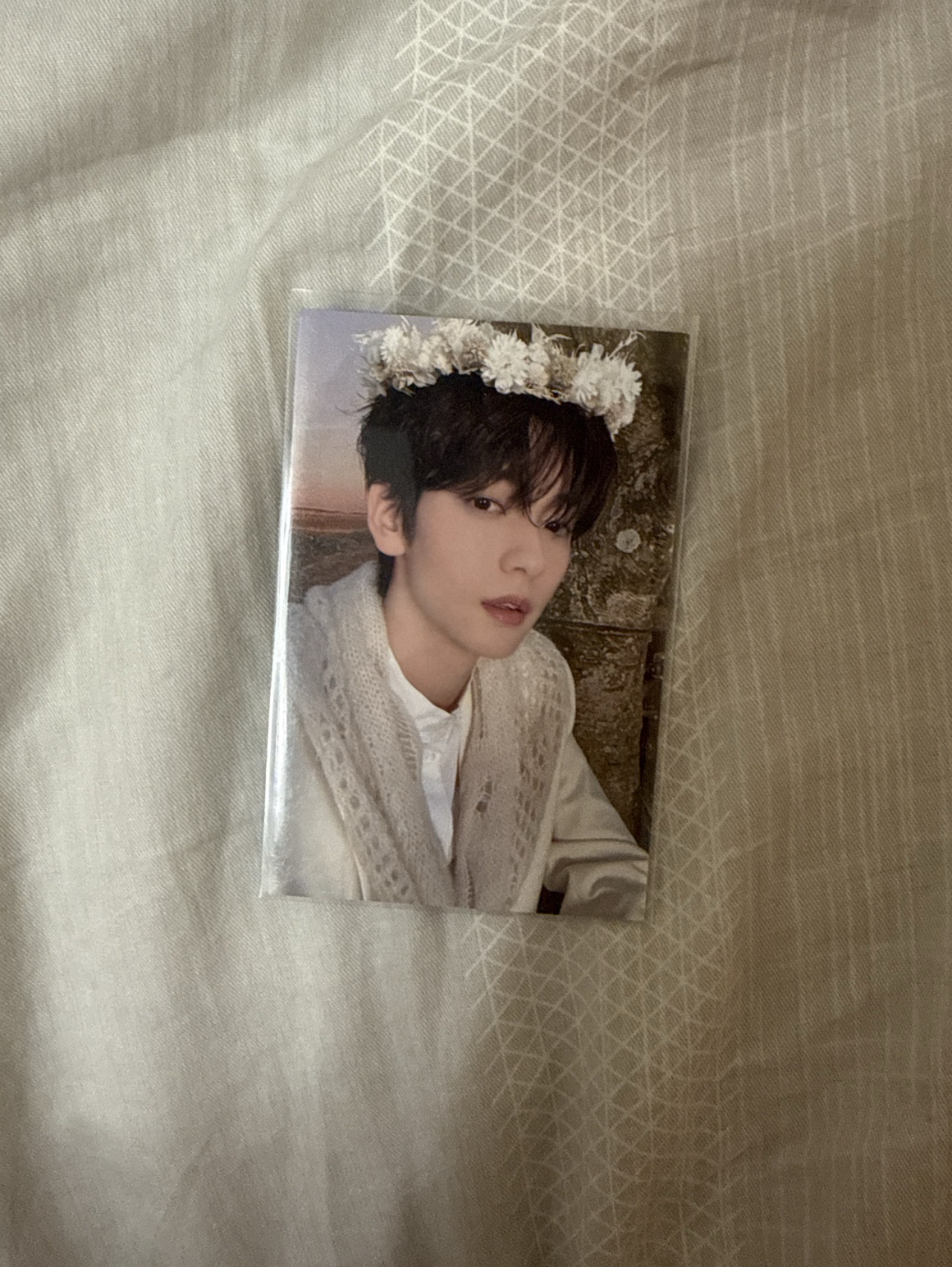 txt  24x巡迴 入場卡 彬