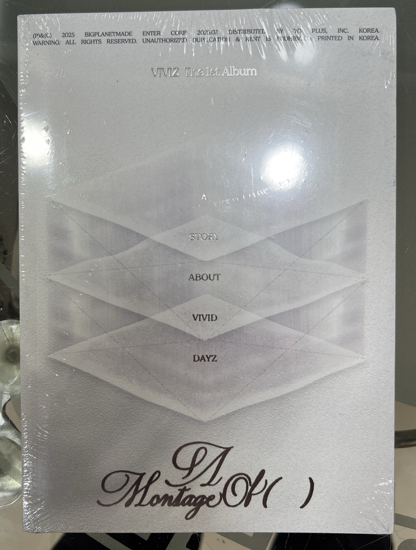 VIVIZ 正規一 A Montage of () DAYZ ver.全新未拆專