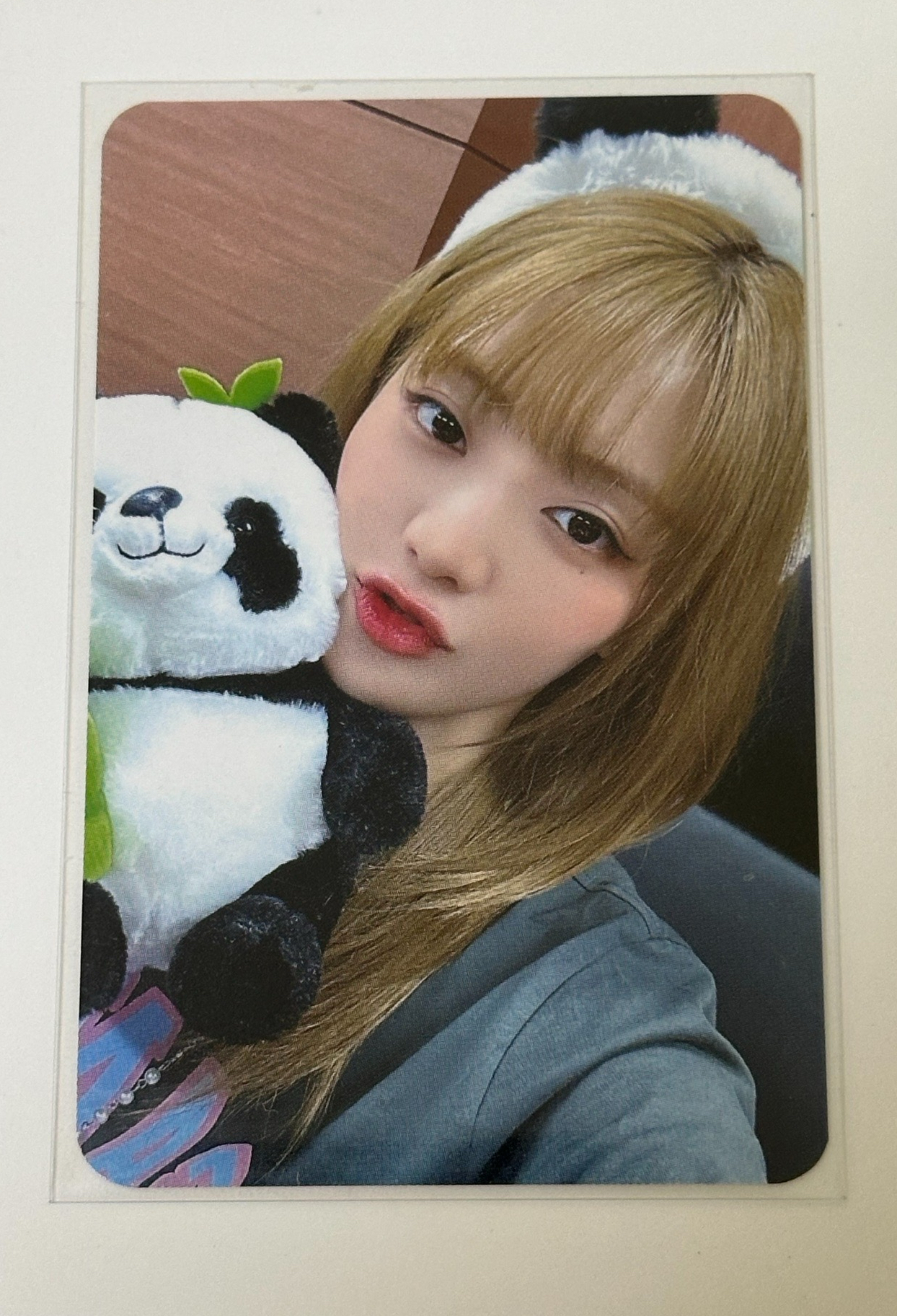 熊貓妮 ms7.0特典