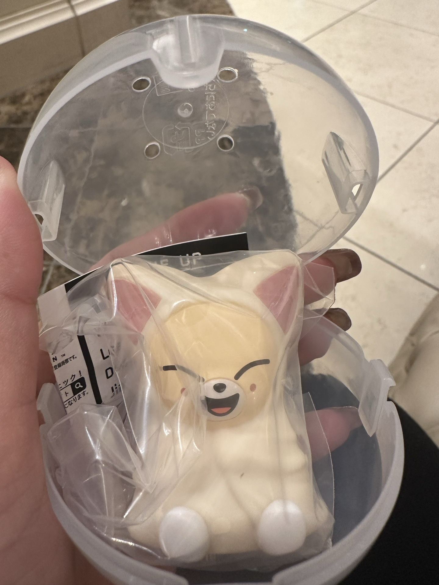 Foxl.Ny（需多帶燦狼）