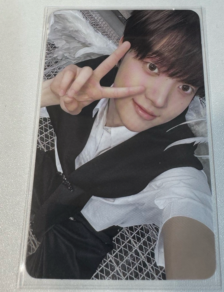 BTL 專輯卡 WVS Albums ver