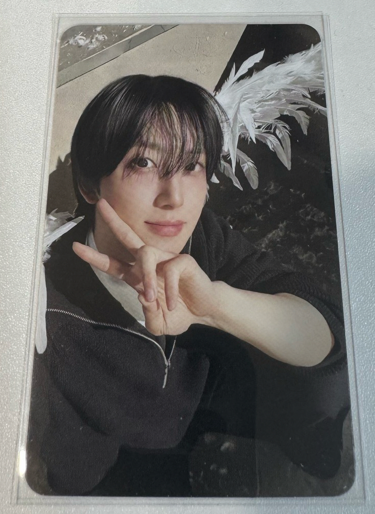 BTL 專輯卡 WVS Albums ver