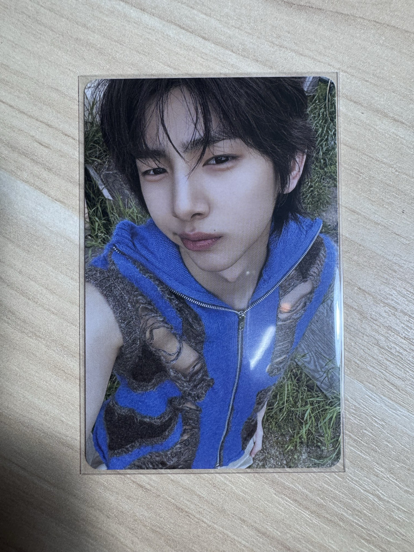 A版金主訓全專 （未掃）