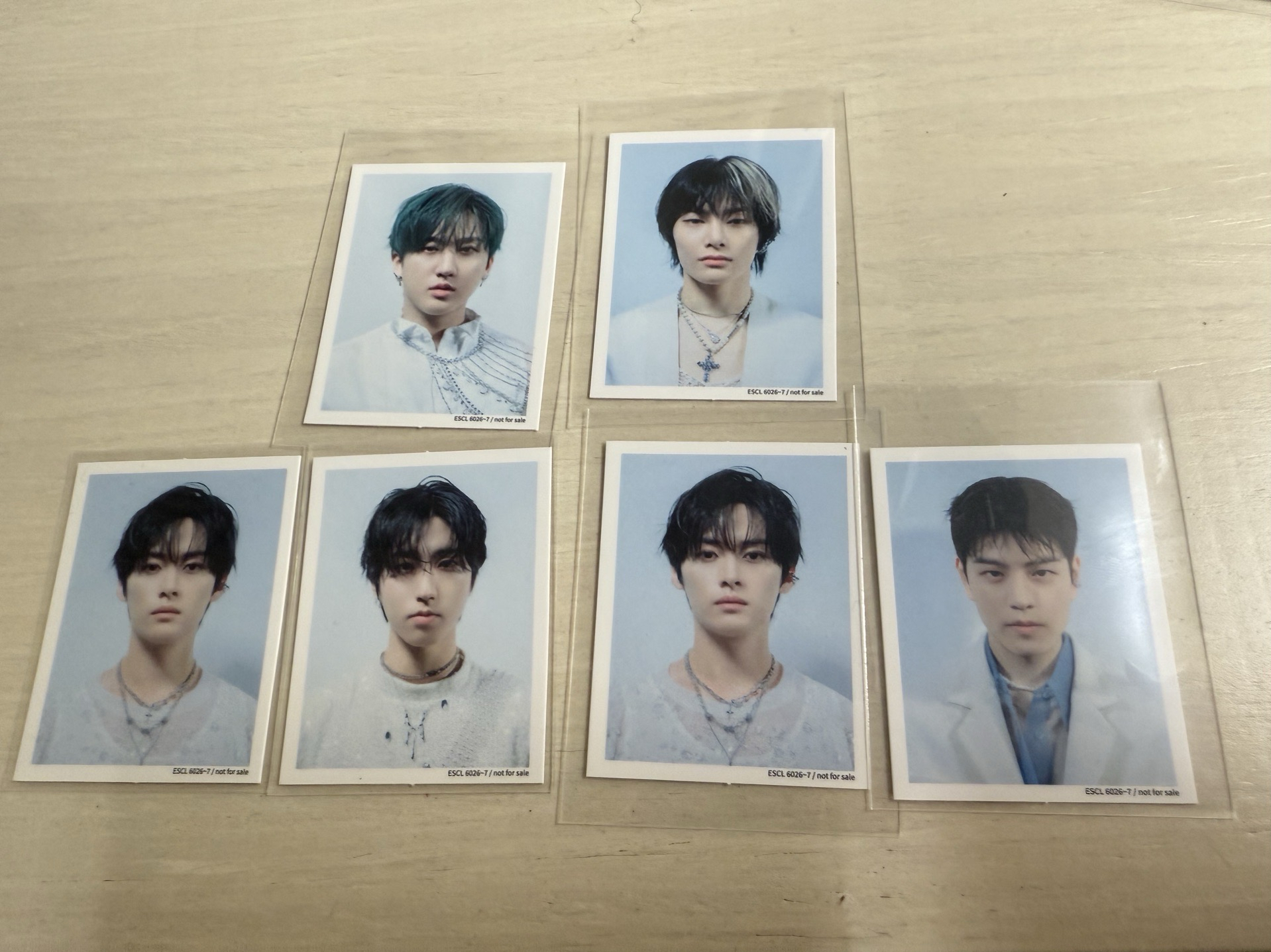 Giant b 盤證件照