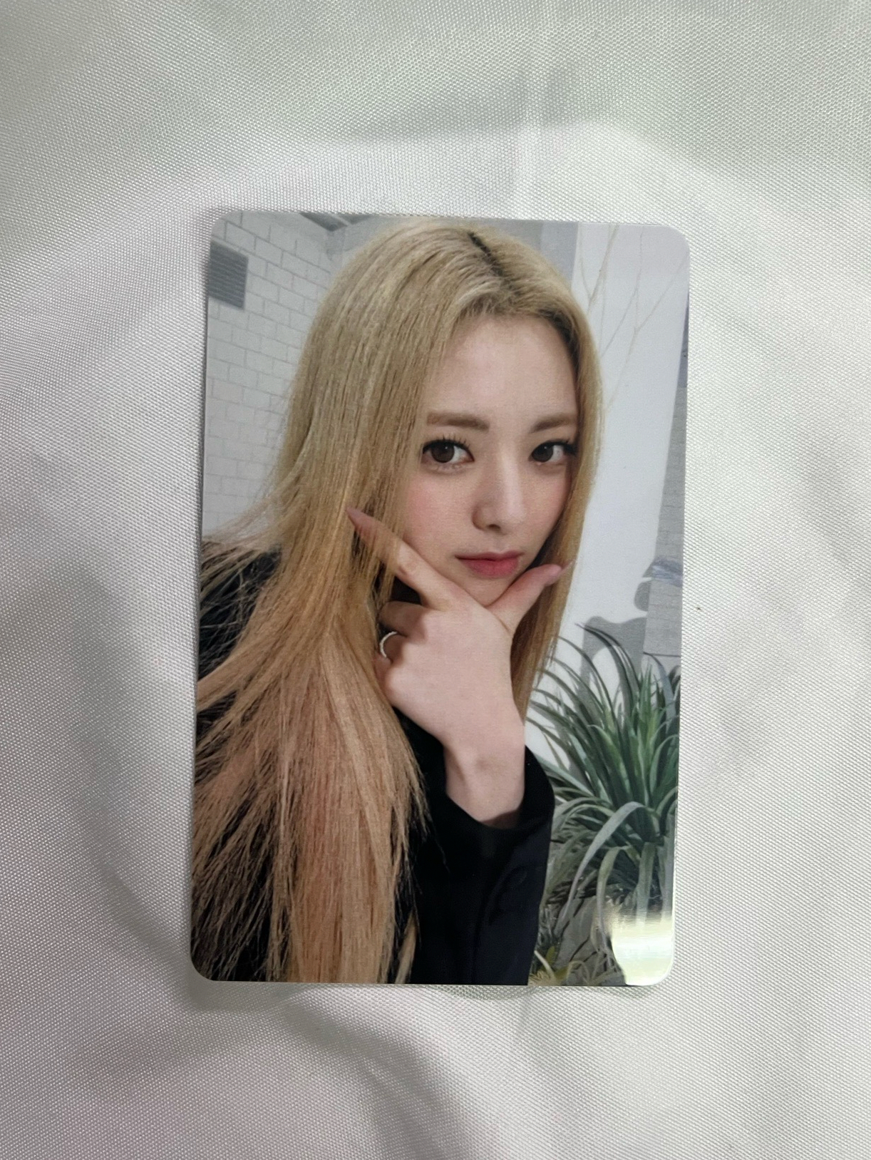 有娜 CHECKMATE Bandina 幸運卡