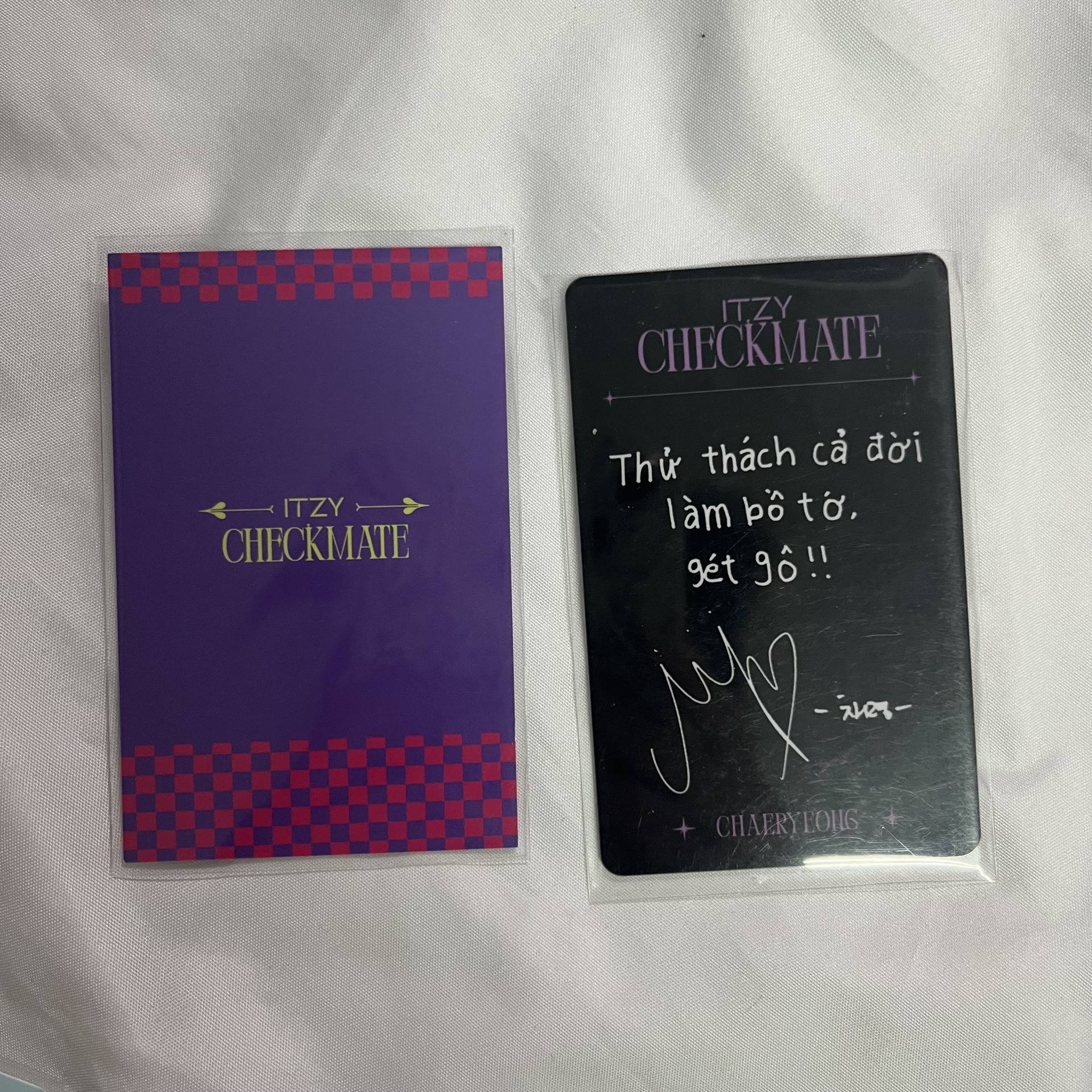 LIA 彩領 CHECKMATE SW Bandina