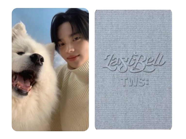 TWS • 日咖薩摩耶1