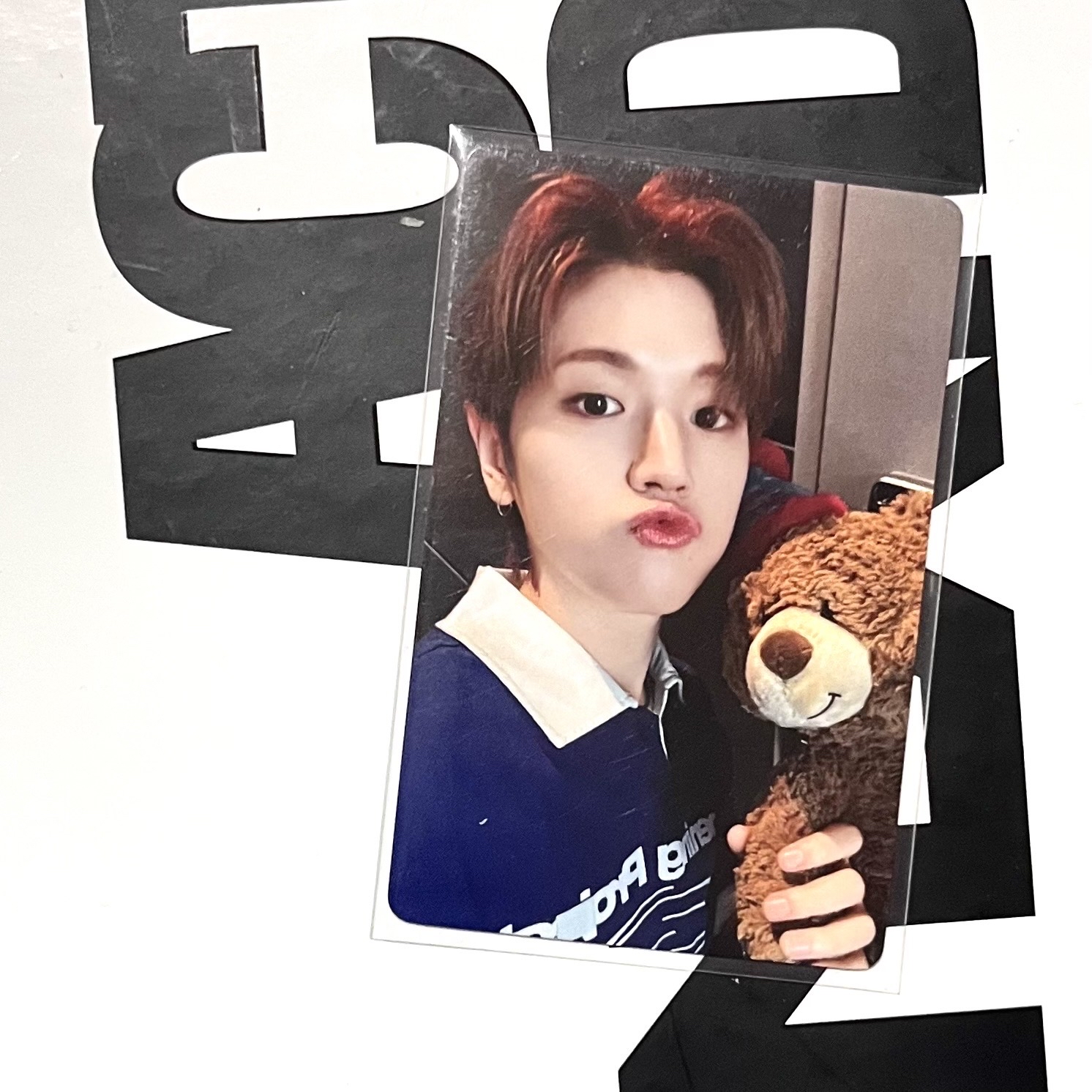 李常赫 一直娛抱熊特典卡🧸