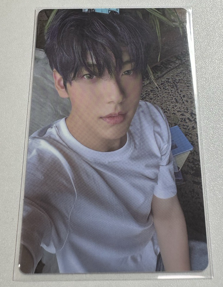 迷七 專輯卡 Merch版