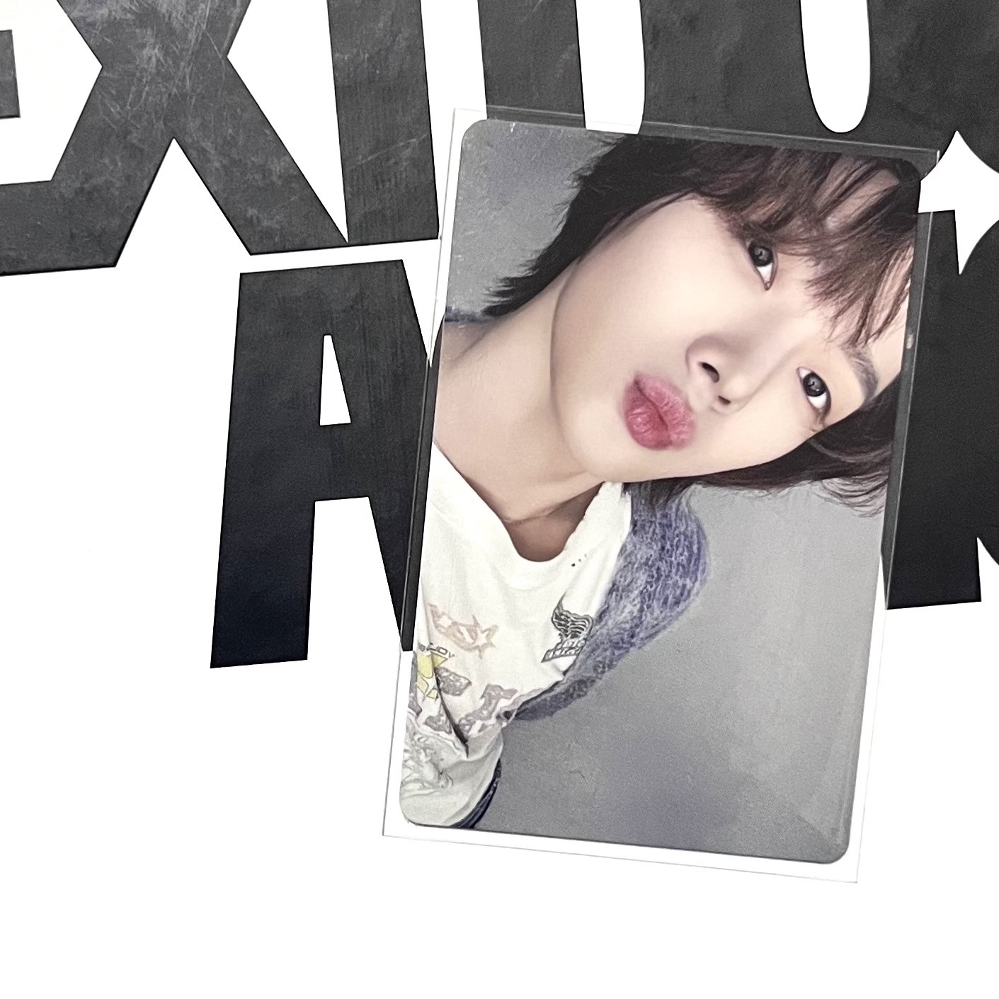 朴成淏日巡隨機卡 嘟嘴🐈