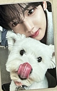 團封狗狗辰 單出不綁 