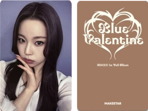 🐳 NMIXX 年末派對圭（非現）