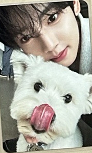 ❤️團封狗狗辰 $350+$150綁