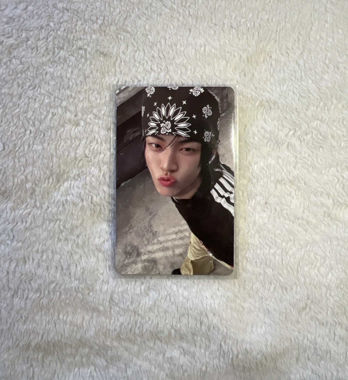 DOHOON WVS 簽售卡