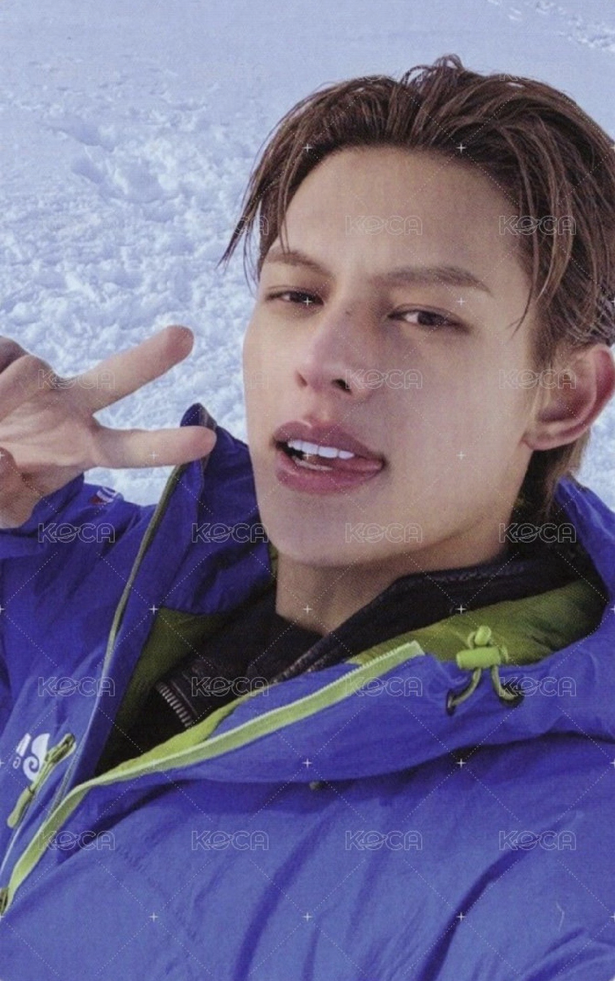 wvs 雪地凡