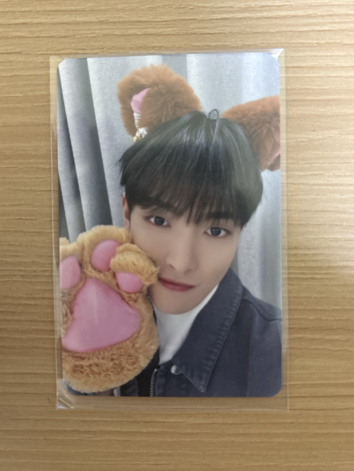 ATEEZ金弘中🐿️「貓爪」🦋