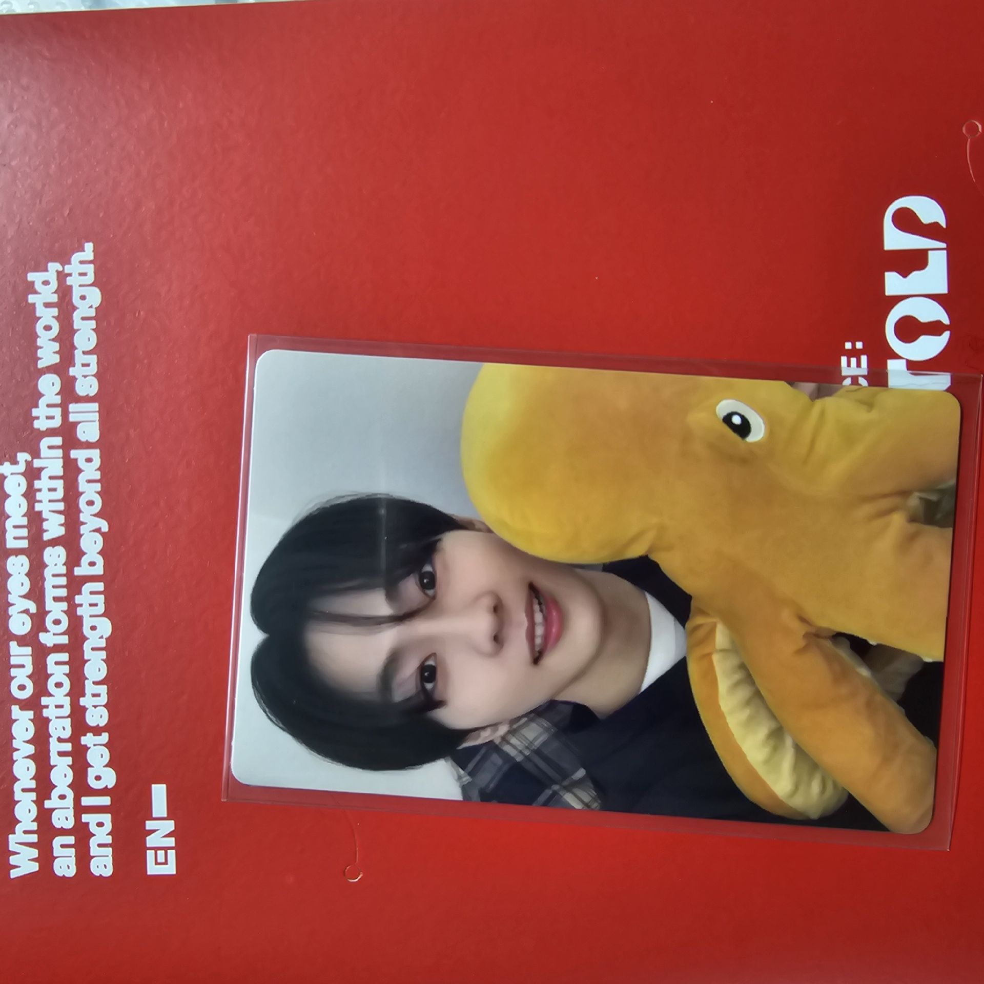 enhypen 元 單封空專+一張專卡