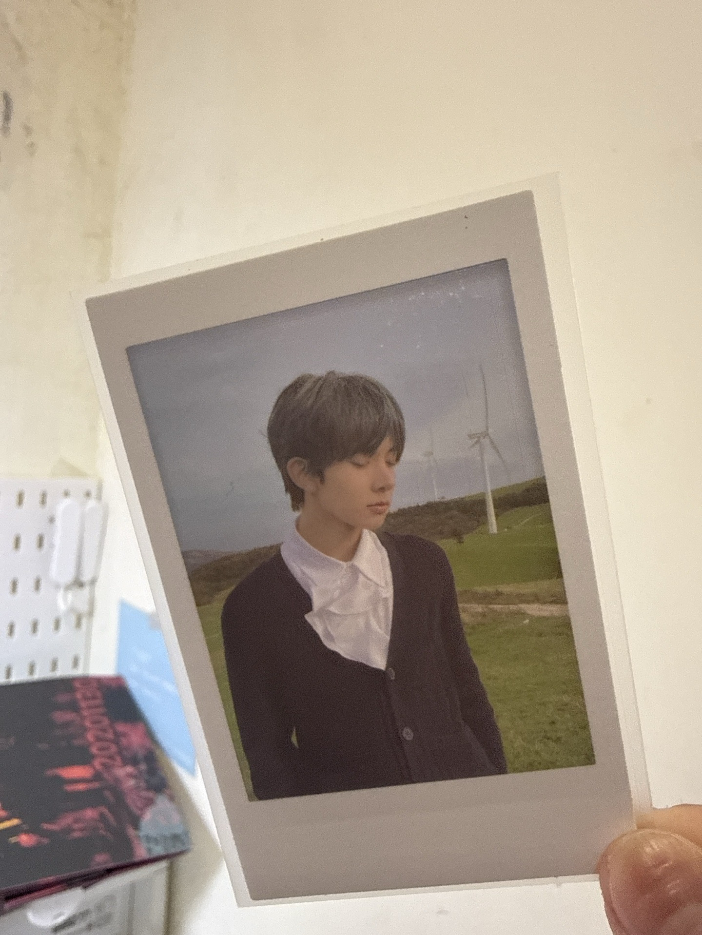 正一後續草地拍立得