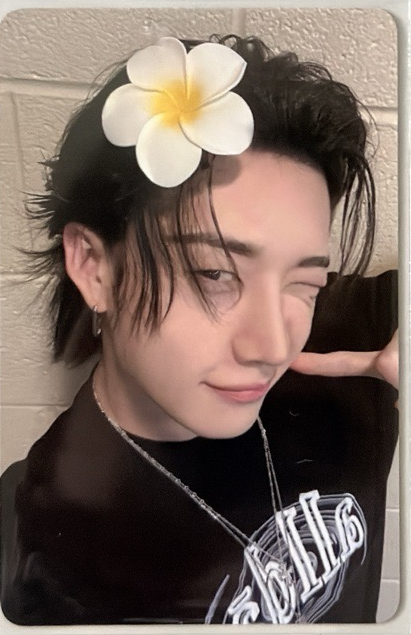 Karma EL(綁💚$250)