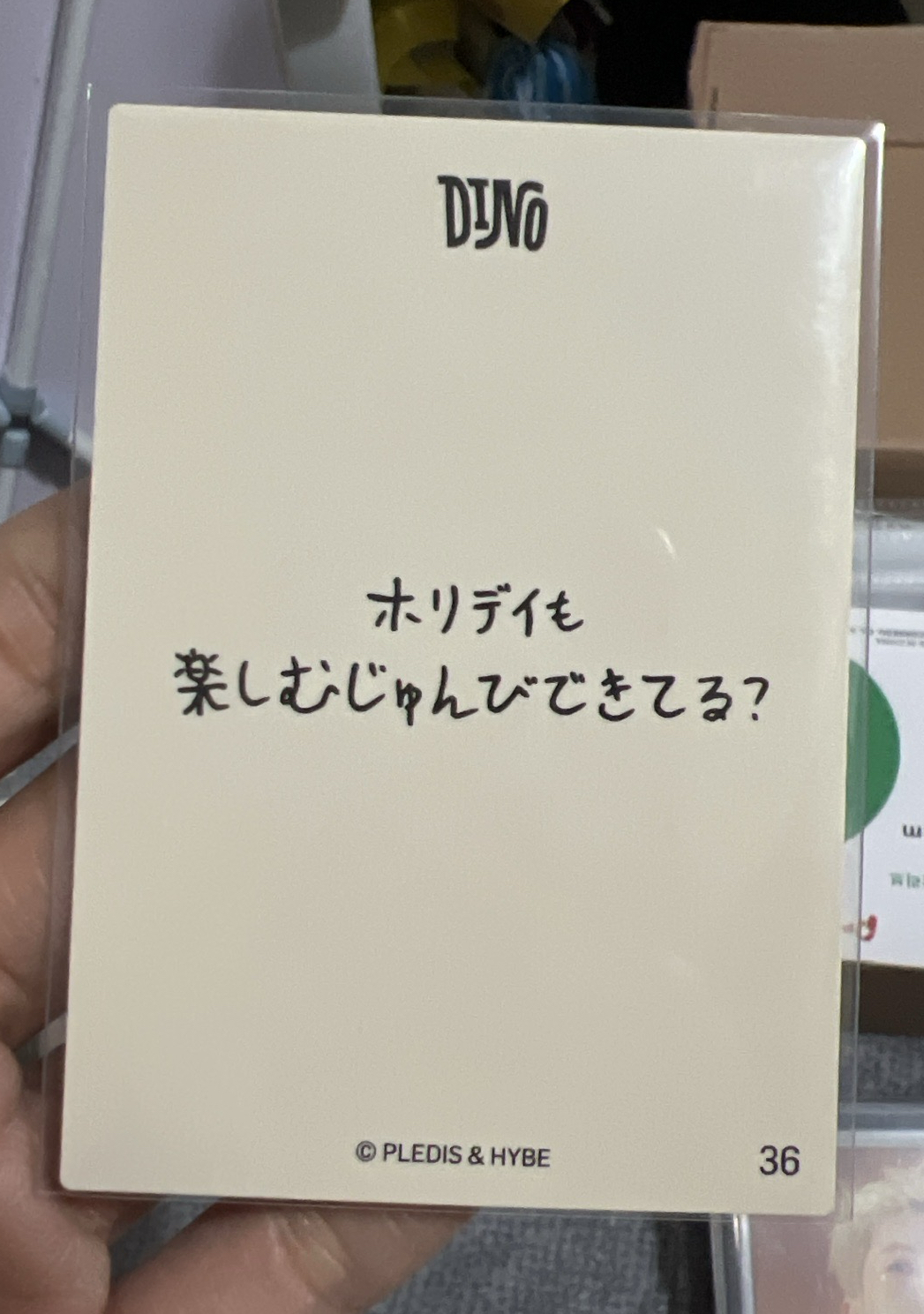 holiday 卡包卡 哲燦八