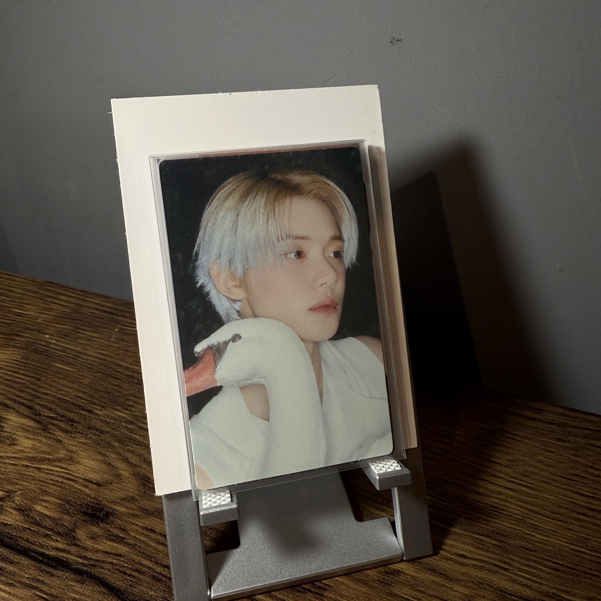 然竣 Starkissed 專卡C