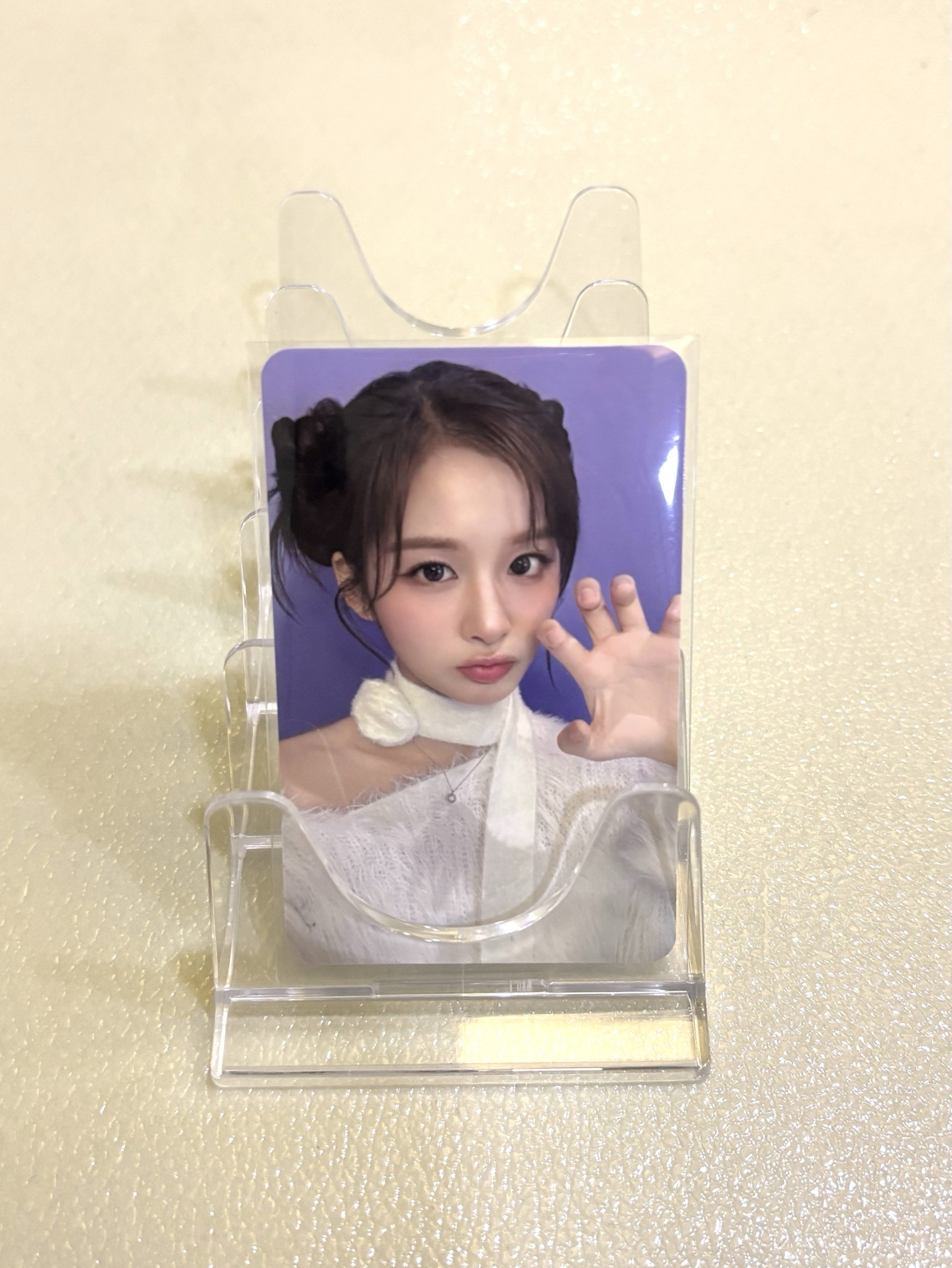 【現貨】直出 薛 正規一 ms 線上 8.0 簽售卡 ver.pucca