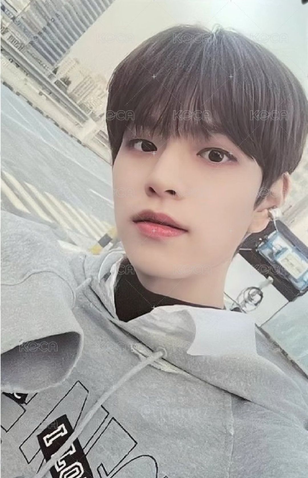 萌袖（家裡兩隻狗專拍）