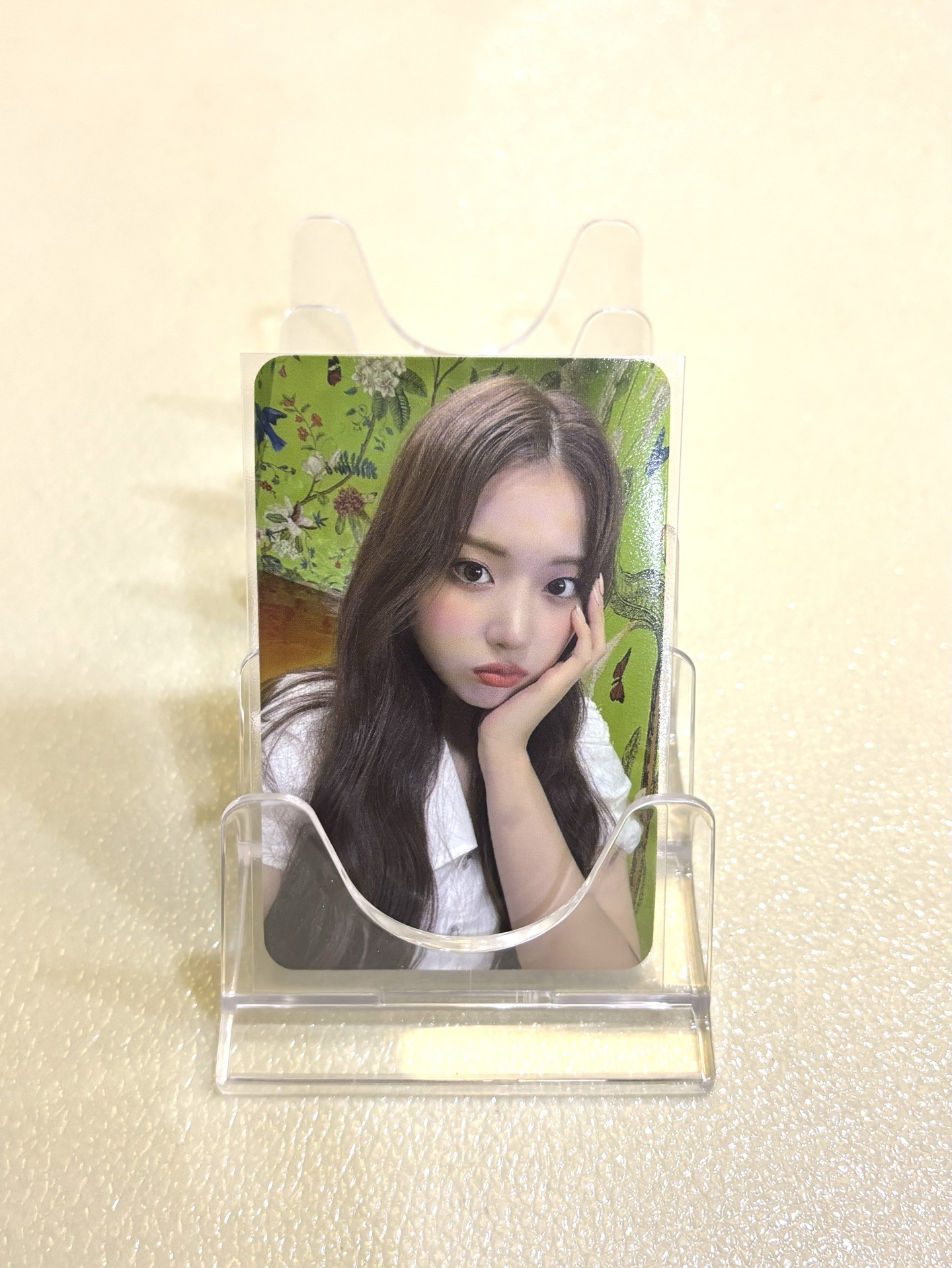 【現貨】友 ENTWURF sw 簽售卡 3.0