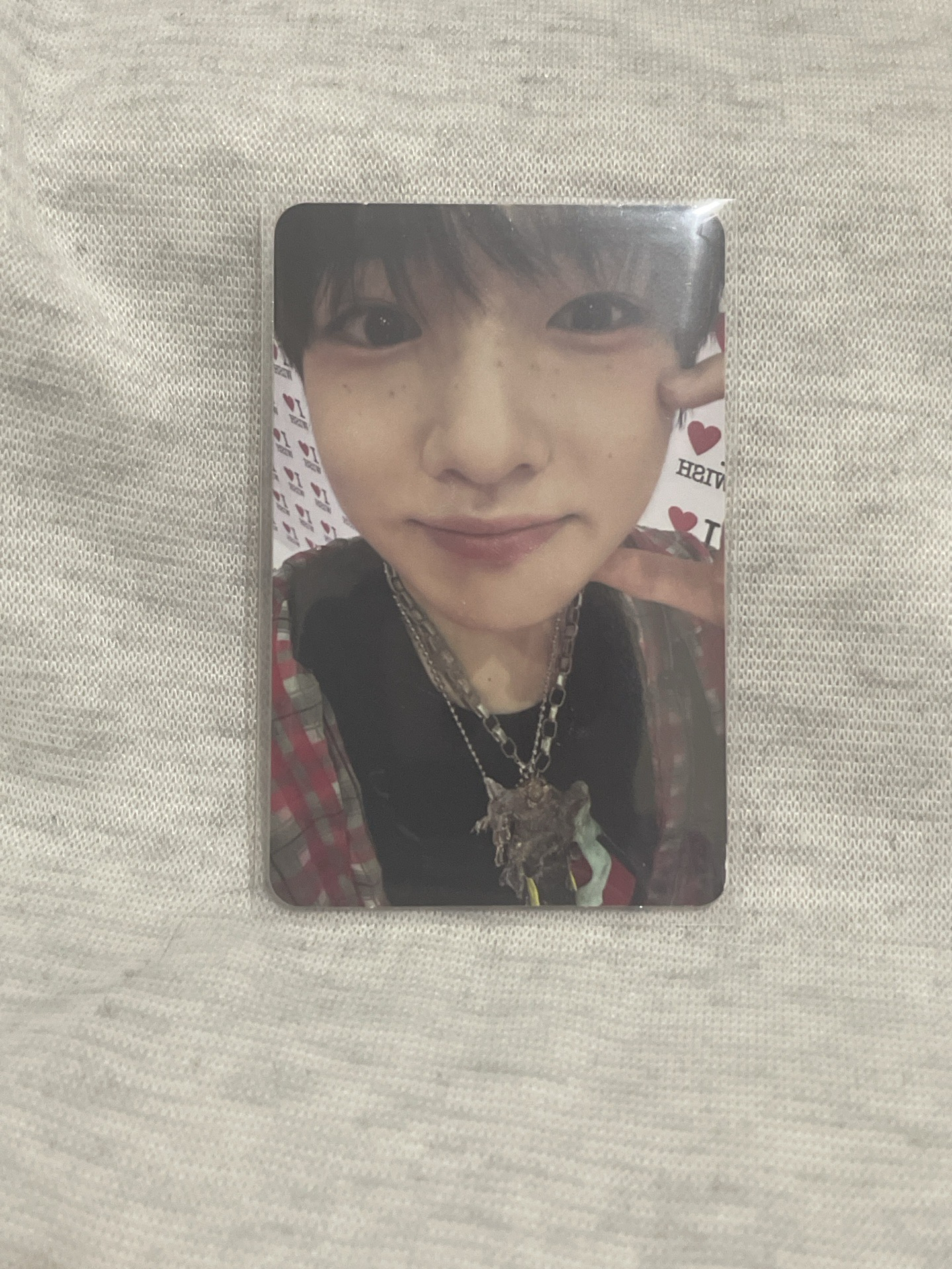 ⭐️SAKUYA Steady 專輯卡 紅版