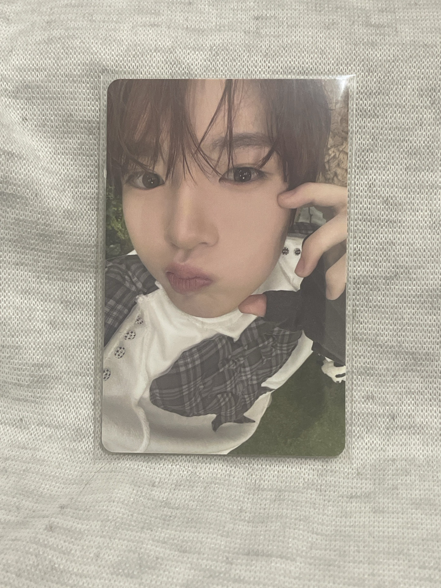 ⭐️SAKUYA Color 專輯卡 JC 單封